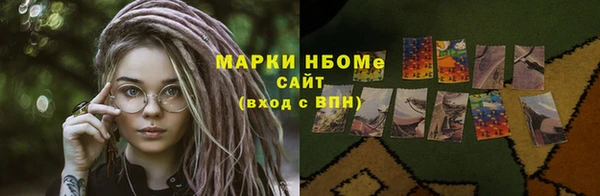 шишки Горняк