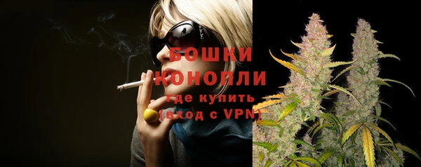 шишки Горняк