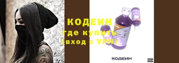 шишки Горняк