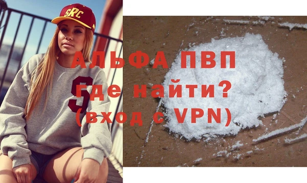 шишки Горняк