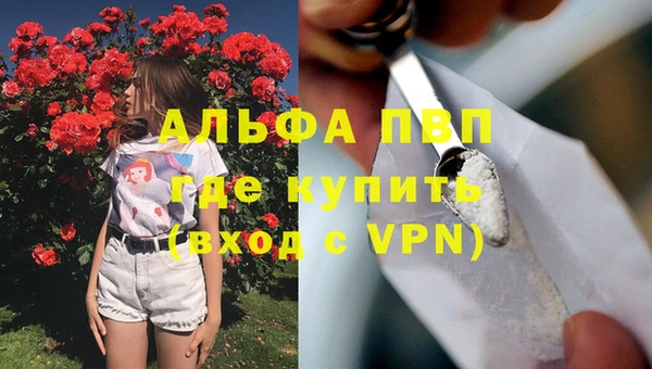 шишки Горняк