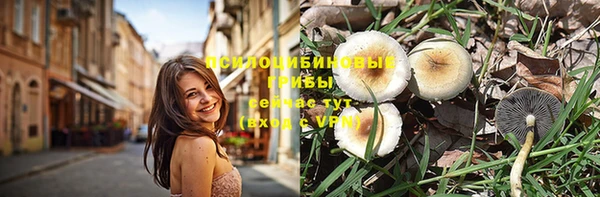 бошки Горнозаводск