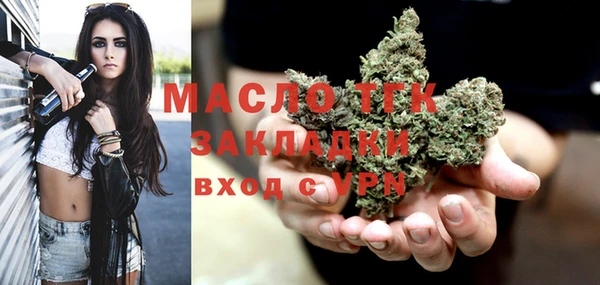 шишки Горняк