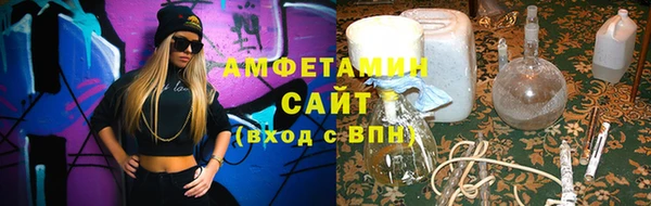 шишки Горняк
