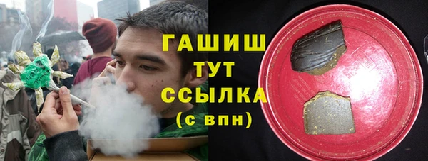 шишки Горняк