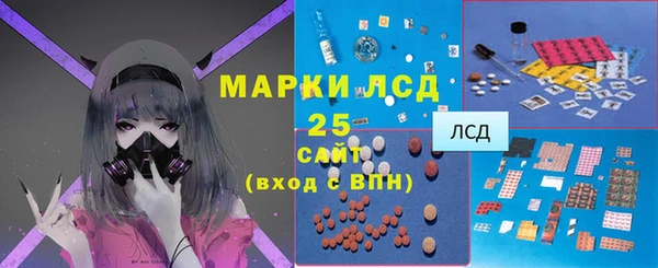 шишки Горняк